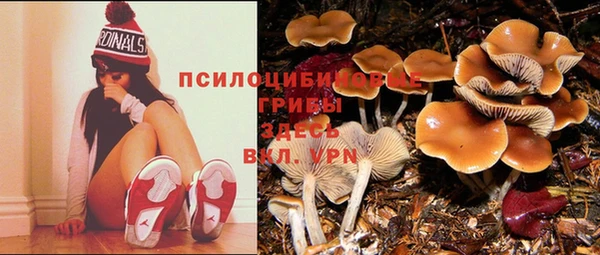 бутират Магадан