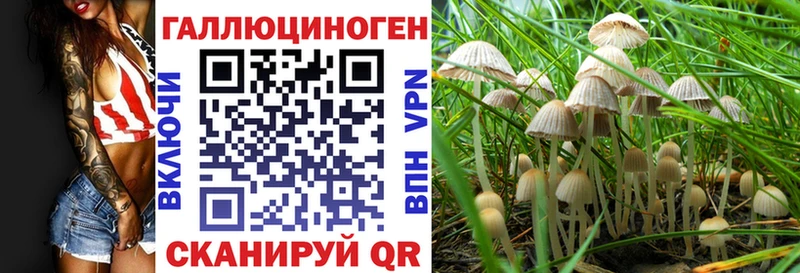 купить  сайты  Раменское  Псилоцибиновые грибы Cubensis 
