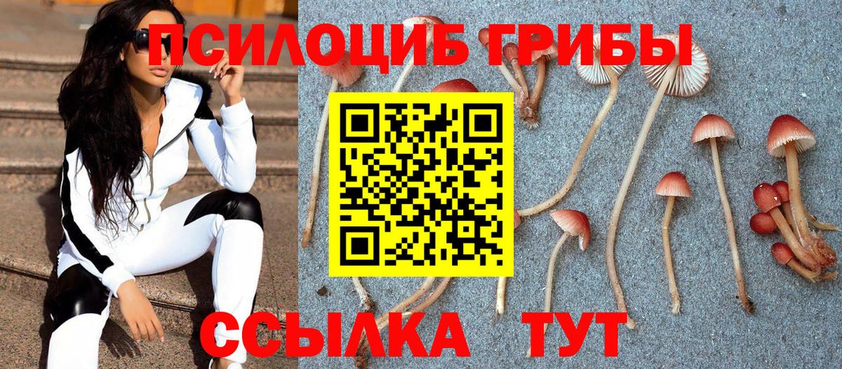Псилоцибиновые грибы GOLDEN TEACHER Раменское