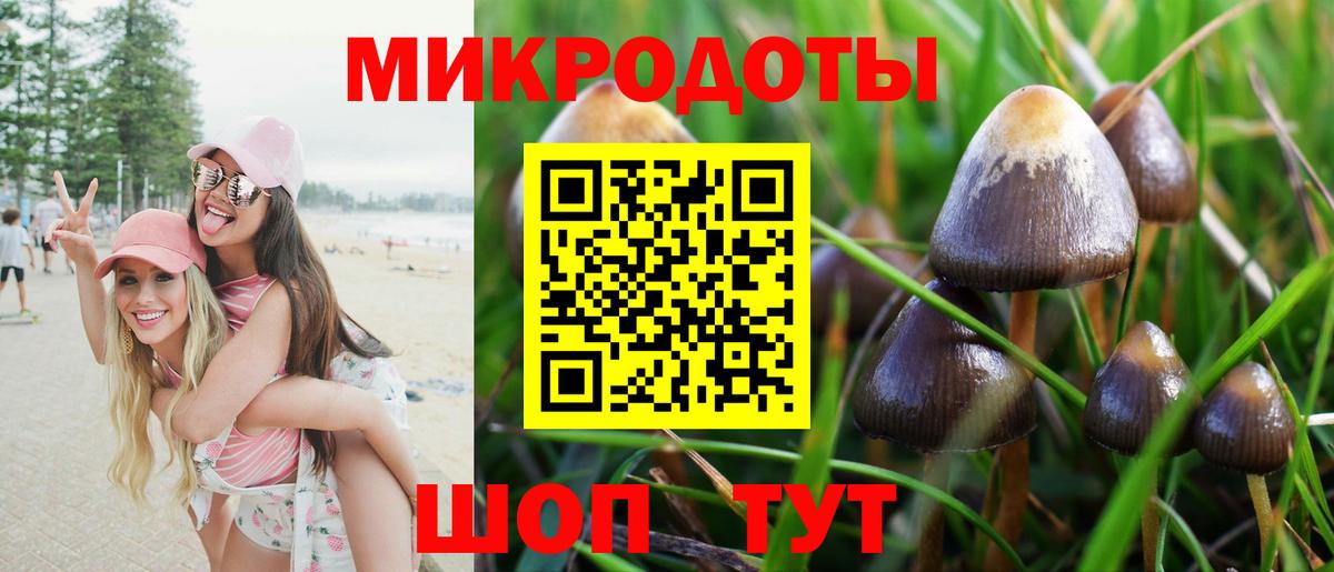 Галлюциногенные грибы мицелий  Вход с VPN  Раменское 